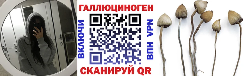 Галлюциногенные грибы мицелий  Купить где  Электрогорск 